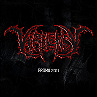 Virulency - Promo 2011