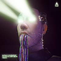 Bastille (GBR, London) - Distorted Light Beam (CamelPhat Remix) (Single)