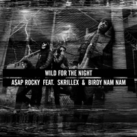 A$AP Rocky - Wild For The Night (Single)