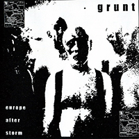 Grunt (FIN) - Europe after storm