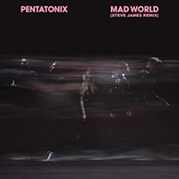 Pentatonix - Mad World (Steve James Remix)