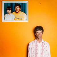 Euros Childs - Situation Comedy