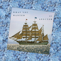 Spector - What You Wanted (Single)