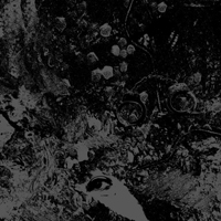 Primitive Man - Unearthly Trance - Primitive Man (Split)