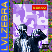 NeakO - LVLZebra (mixtape)