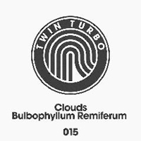 Clouds (GBR) - Bulbophyllum Remiferum (EP)