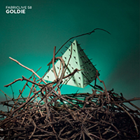 Fabric (CD Series) - FabricLIVE 58: Goldie 