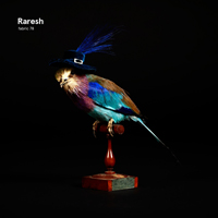 Fabric (CD Series) - Fabric 78: Raresh