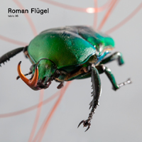 Fabric (CD Series) - Fabric 95: Roman Flugel (Feat.)
