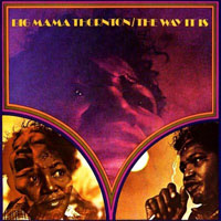 Big Mama Thornton - The Way It Is