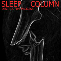 Sleep Column - Destructive Process
