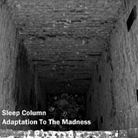 Sleep Column - Adaptation To The Madness