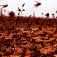 Sleep Column - Swarm