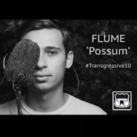 Flume - Possum (Single)