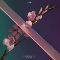 Flume - Never Be Like You (Feat. Kai) (Single)