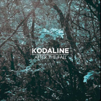 Kodaline - After The Fall