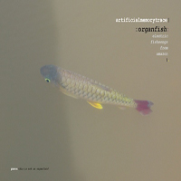 Artificial Memory Trace - Organfish