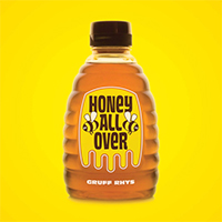 Gruff Rhys - Honey All Over (Single)