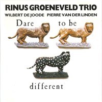 Rinus Groeneveld Trio - Dare To Be Different