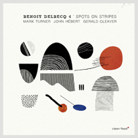 Delbecq, Benoit - Benoit Delbecq 4 - Spots On Stripes