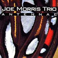 Morris, Joe - Antennae, 1997