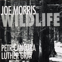 Morris, Joe - Wildlife