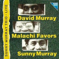 Sunny Murray - Sunny Murray Trio - Live at Moers Festival (LP)