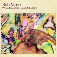 Bob Moses (USA) - When Elephants Dream of Music