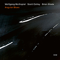 Wolfgang Muthspiel - Angular Blues (feat. Scott Colley, Brian Blade)