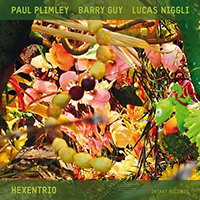 Plimley, Paul  - Hexentrio (feat. Barry Guy, Lucas Niggli)