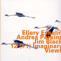Eskelin, Ellery - 12 (+1) Imaginary Views (feat. Andrea Parkins & Jim Black)