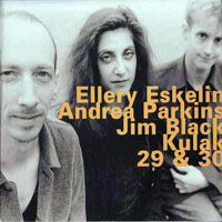 Eskelin, Ellery - Kulak 29 & 30 (feat. Andrea Parkins & Jim Black)