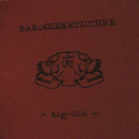Bardoseneticcube - zig-ODA