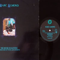 Marc Almond - The House Is Haunted (By The Echo Of Your Last Goodbye) [12'' Single]