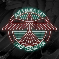 RAF Camora - Anthrazit (Limitierte Fanbox Edition) [CD 1: Album]