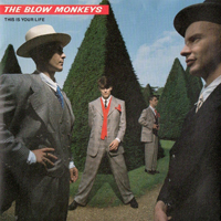 Blow Monkeys - This Is Your Life
