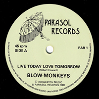 Blow Monkeys - Live Today Love Tomorrow (7'' Vinyl Single)