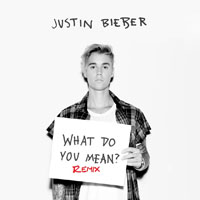 Ariana Grande - What Do You Mean? (Remix) (Single) 