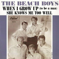 The Beach Boys - U.S. Singles Collection (The Capitol Years 62-65), 2008 - When I Grow Up (To Be A Man)