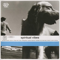 Spiritual Vibes - Spiritual Vibes