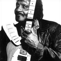 Albert Collins - 1993.09.05 - Albert Collins & Icebreakers - Rockford, Illinois