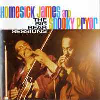 Homesick James - The Big Bear Sessions (CD 1)