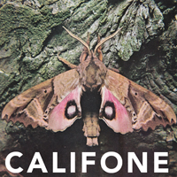 Califone - Insect Courage (EP)