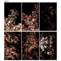 Henriksen, Arve - Arve Henriksen - Solidification (CD 4: Chron, 2012)