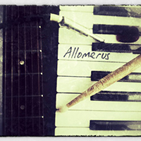 Allomerus - Allomerus