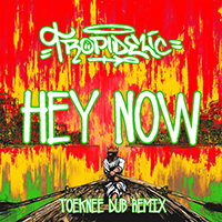 Tropidelic - Hey Now (Single)