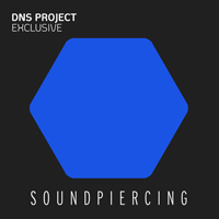 DNS Project - Exclusive