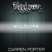 Porter, Darren - Wildlife (Single)
