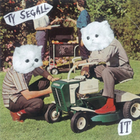 Ty Segall - It (Single)