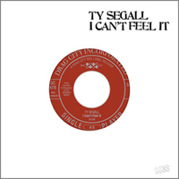 Ty Segall - I Can't Feel It (Single)